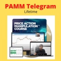 PAM Price Action Manipulation One Way Discussion Channel by Alson Cheww Stock Option XSPY (Lifetime access)